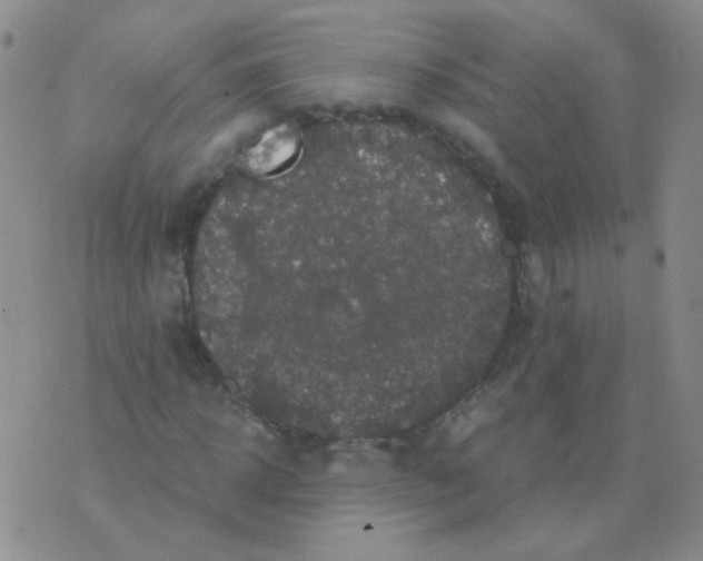 X0000076070918200610152224