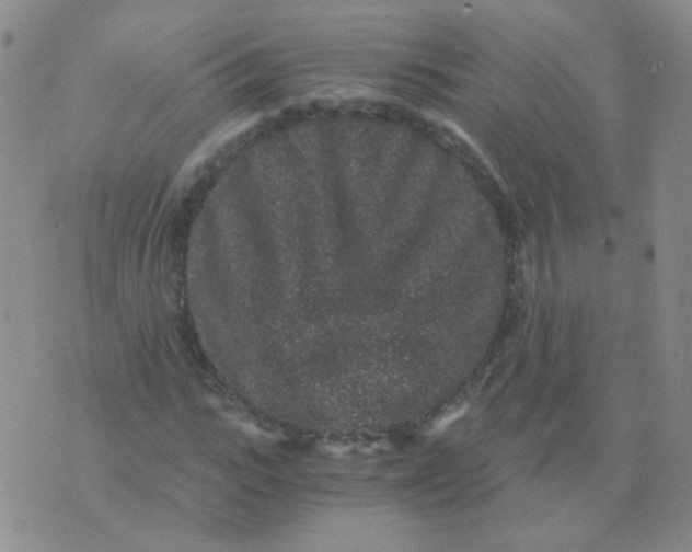 X0000076070919200610152224