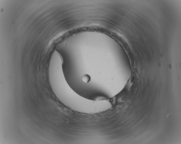 X0000076070920200610152224