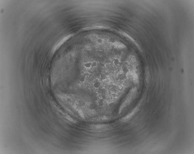 X0000076070921200610152224