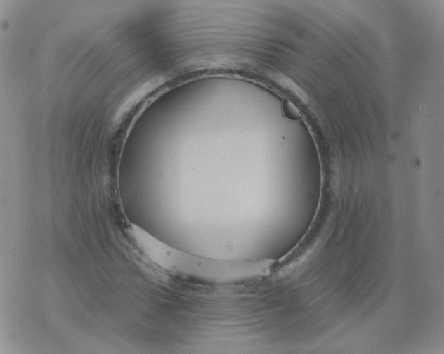 X0000076070922200610152224