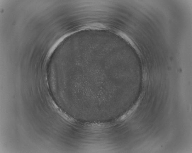 X0000076070923200610152224