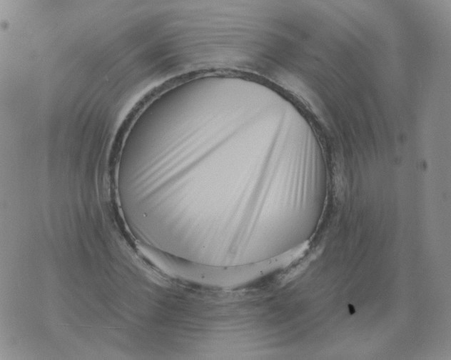 X0000076070924200610152224