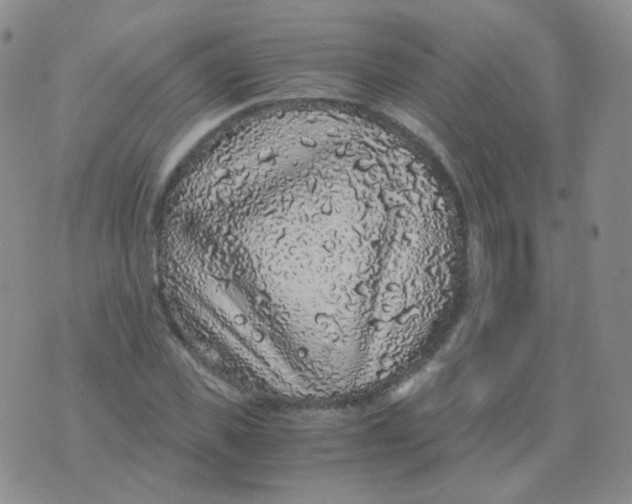 X0000076070925200610152224