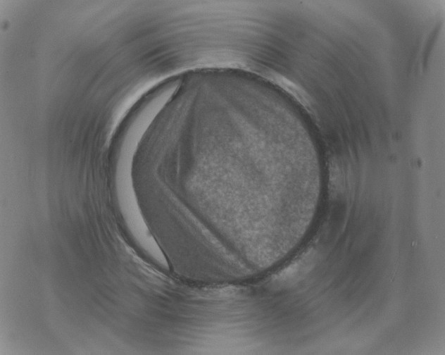 X0000076070926200610152224