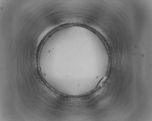 X0000076070927200610152224