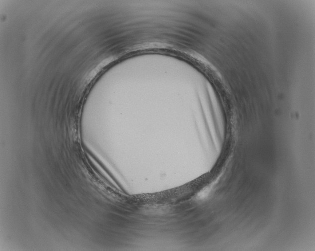 X0000076070929200610152224