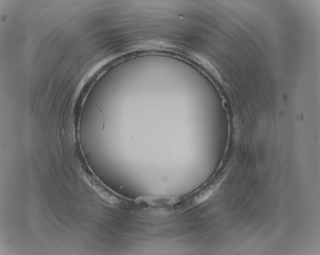 X0000076070931200610152224