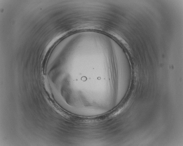 X0000076070933200610152224