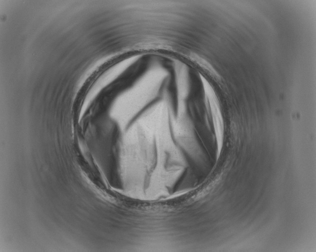 X0000076070934200610152224