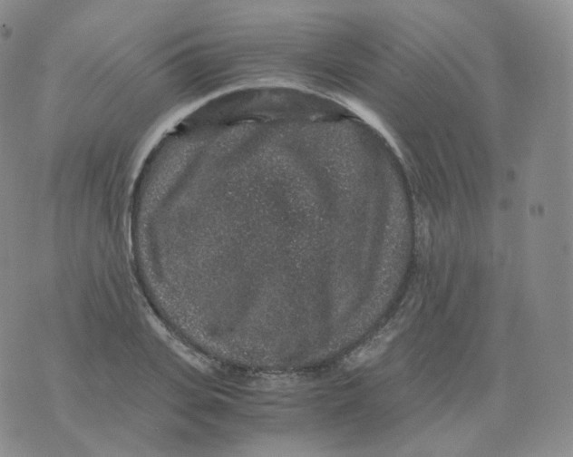 X0000076070935200610152224