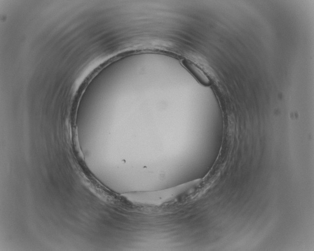 X0000076070936200610152224