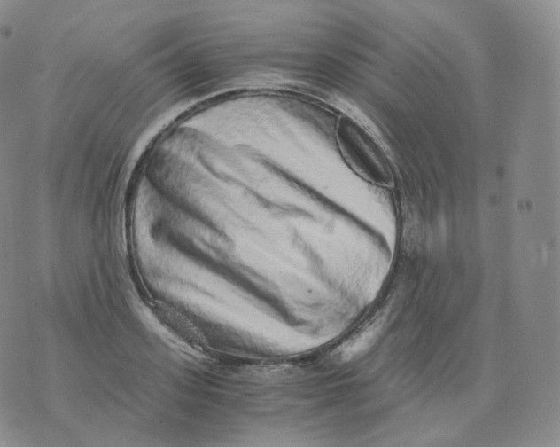 X0000076070939200610152224