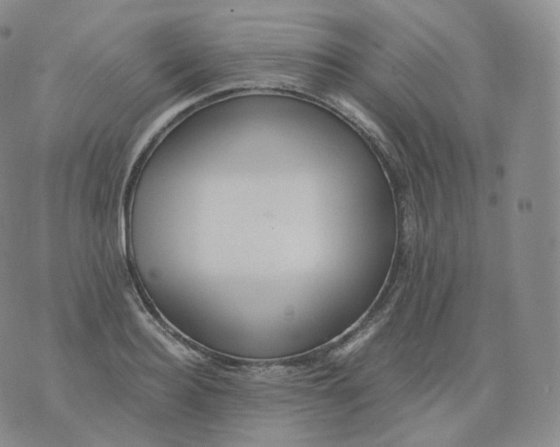 X0000076070940200610152224