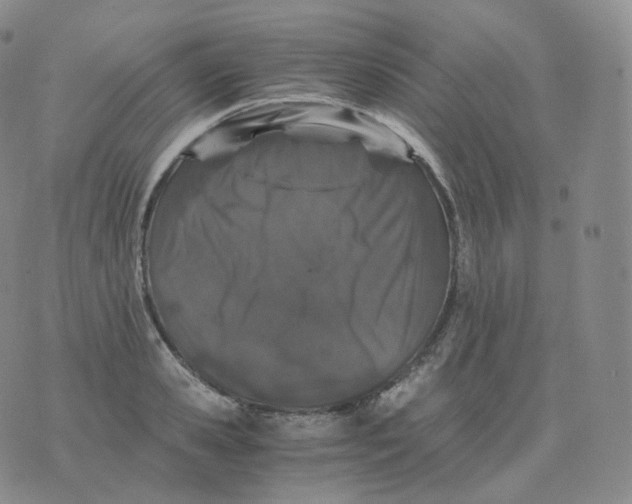 X0000076070941200610152224