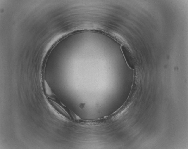 X0000076070942200610152224