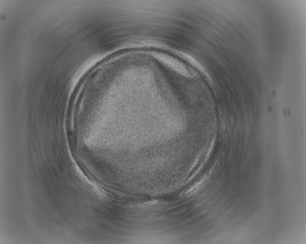 X0000076070943200610152224