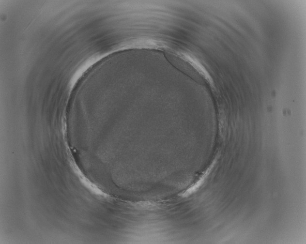 X0000076070944200610152224