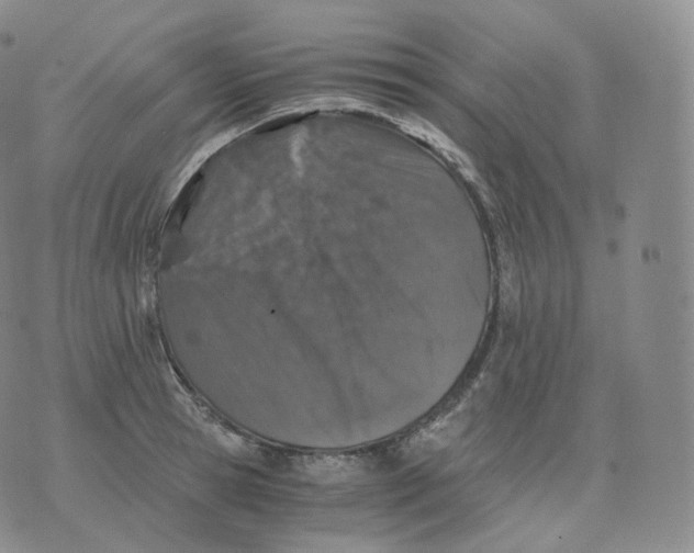 X0000076070945200610152224