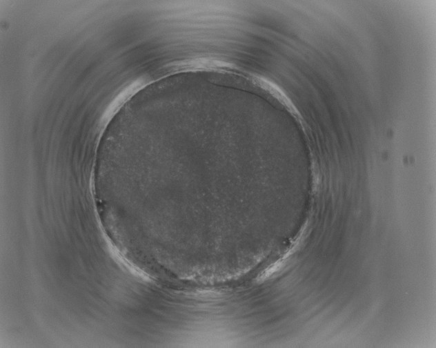 X0000076070946200610152224