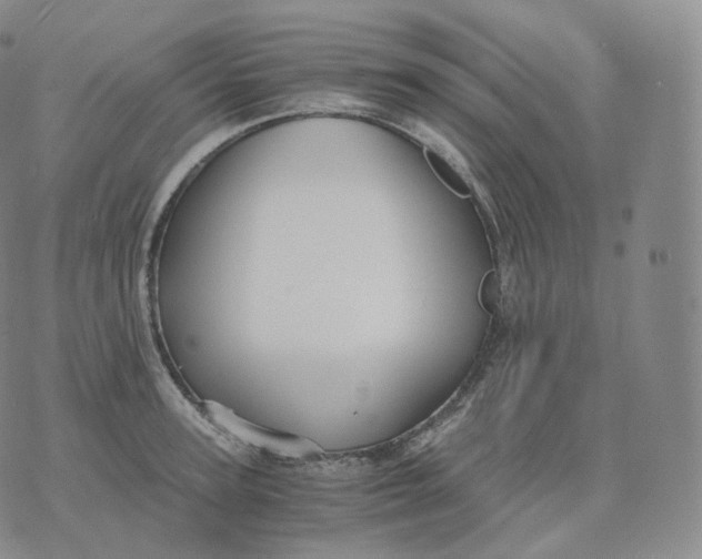 X0000076070947200610152224