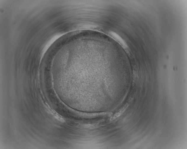 X0000076070948200610152224