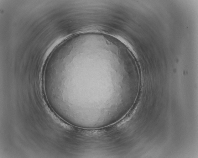 X0000076070949200610152224