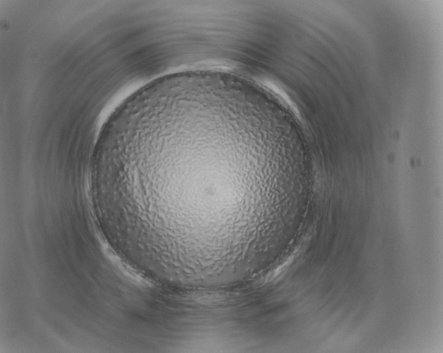 X0000076070952200610152224