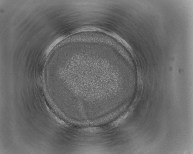 X0000076070953200610152224