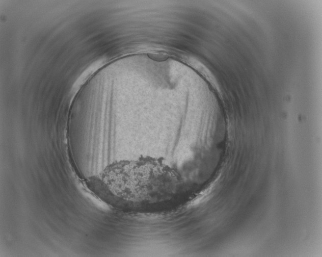 X0000076070954200610152224