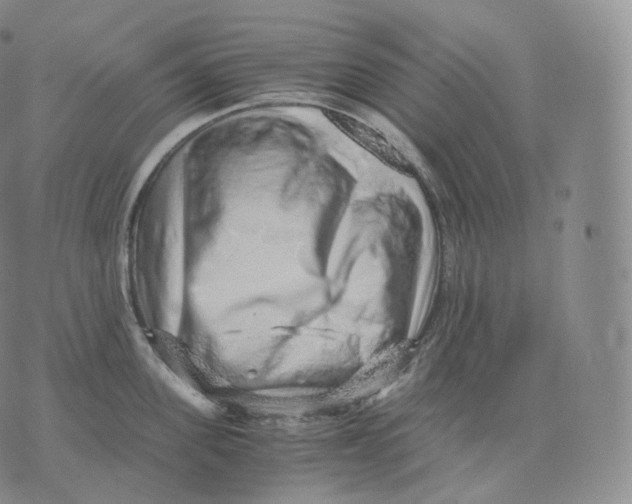 X0000076070955200610152224