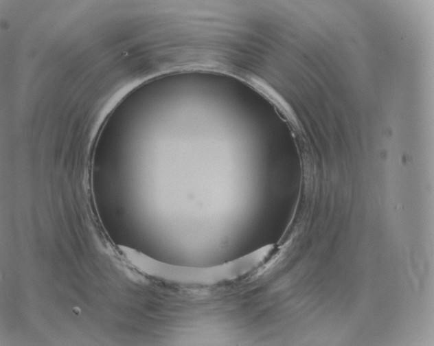 X0000076070956200610152224