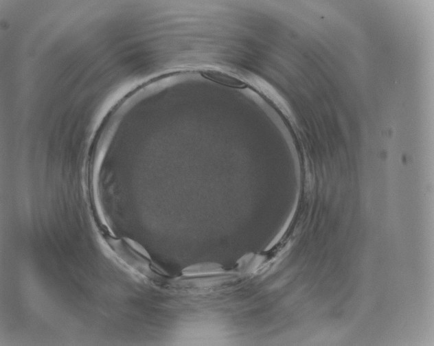 X0000076070958200610152224