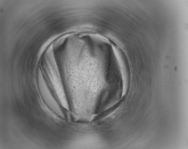 X0000076070960200610152224