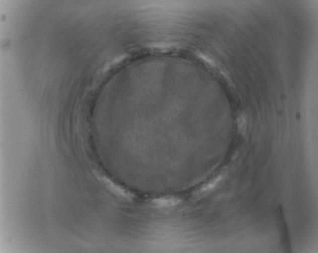 X0000076070961200610152223