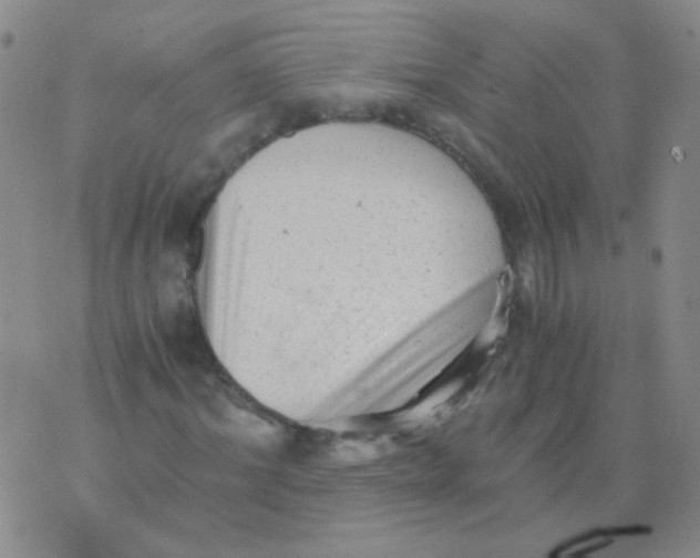 X0000076070964200610152223