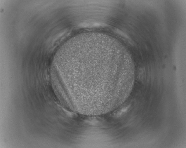 X0000076070966200610152223