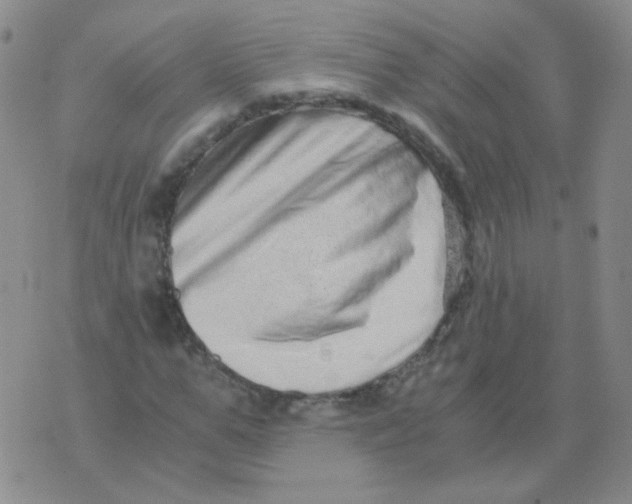 X0000076070967200610152223