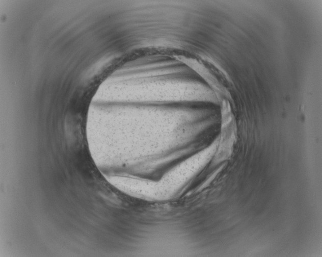 X0000076070968200610152223