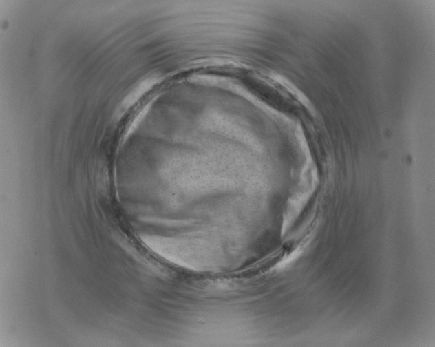 X0000076070969200610152223