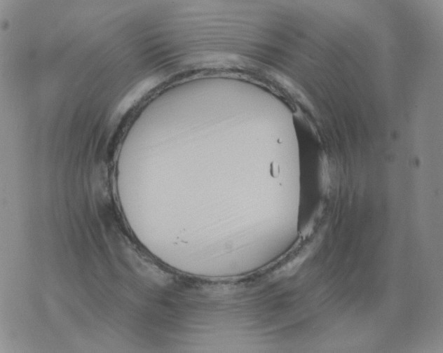 X0000076070970200610152223