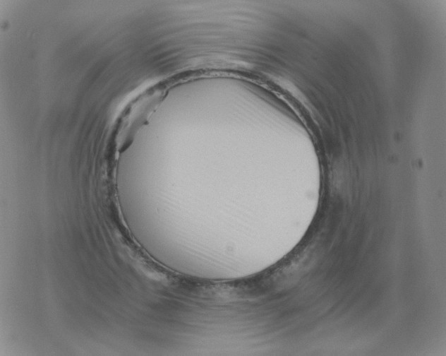 X0000076070971200610152223