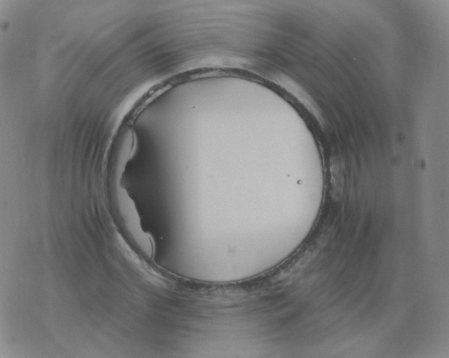 X0000076070972200610152223