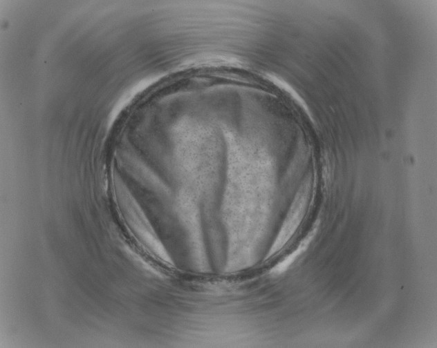 X0000076070973200610152223