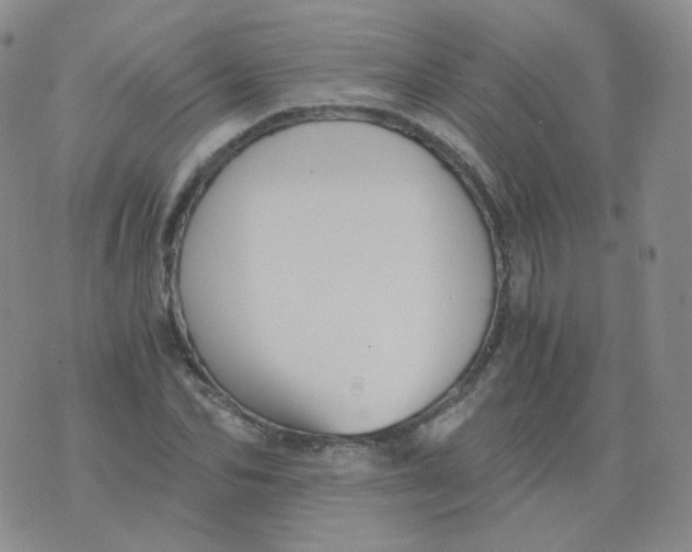 X0000076070974200610152223