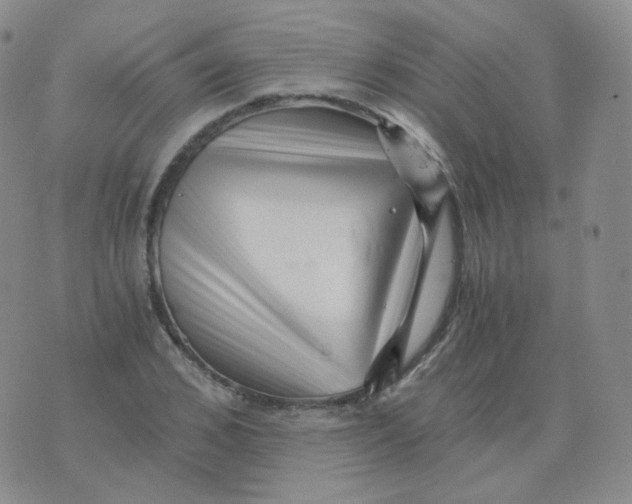 X0000076070976200610152223