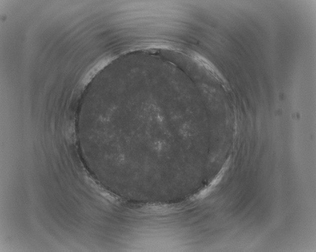 X0000076070977200610152223