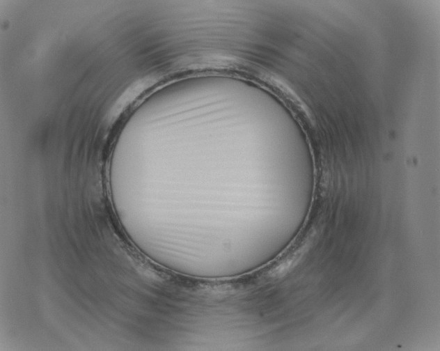 X0000076070978200610152223