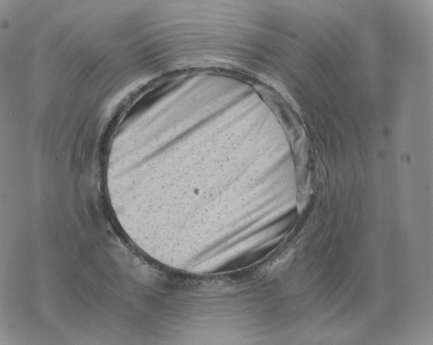 X0000076070979200610152223