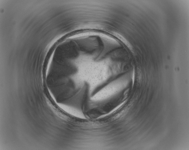 X0000076070980200610152223